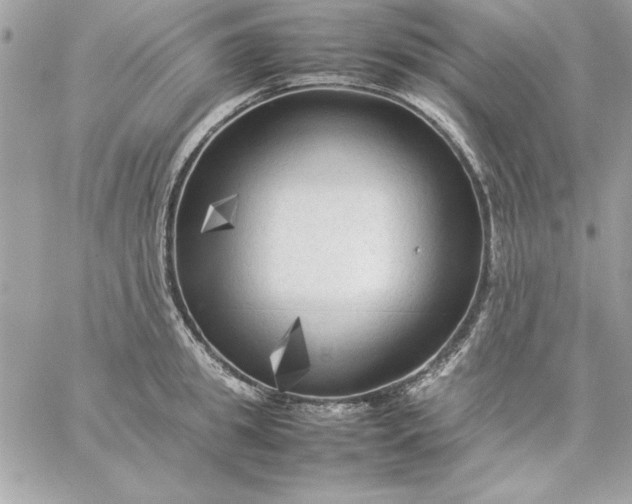 X0000059230949200510281902