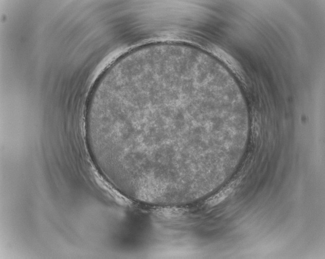 X0000059230950200510281902