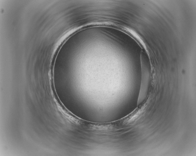 X0000059230951200510281902