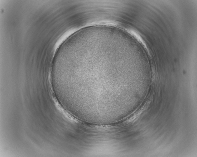 X0000059230952200510281902