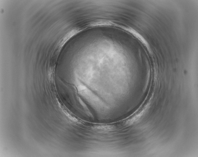 X0000059230953200510281902