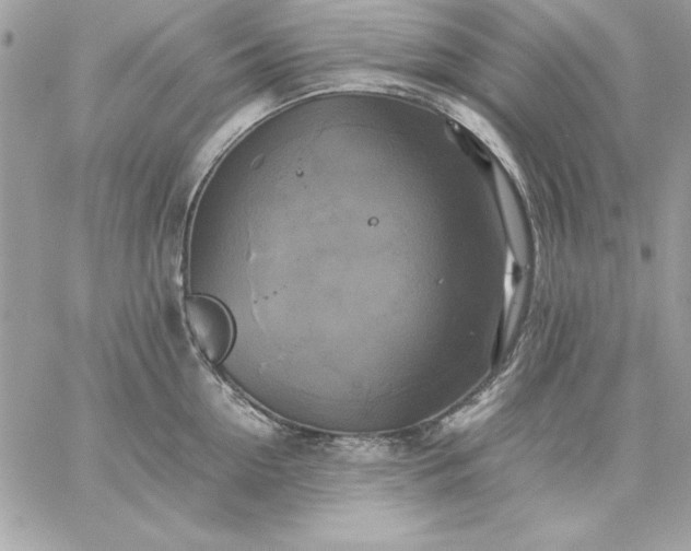 X0000059230954200510281902