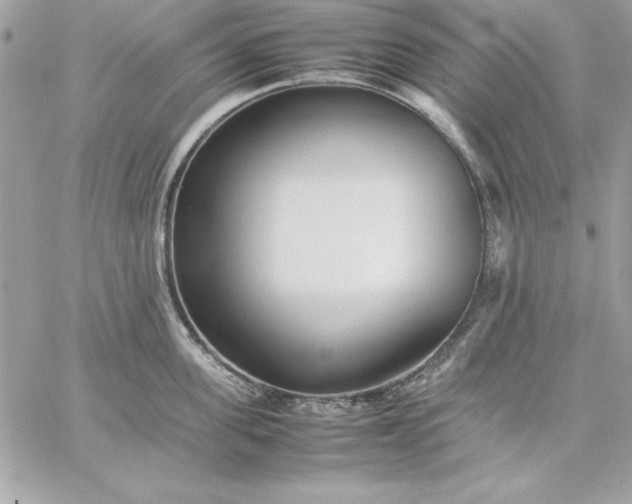 X0000059230955200510281902