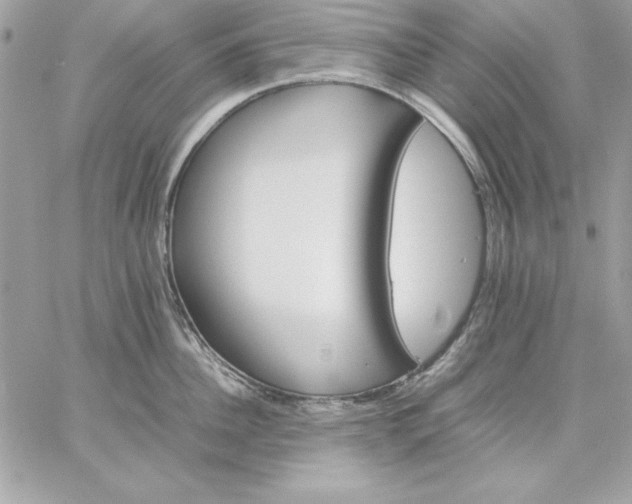 X0000059230956200510281902