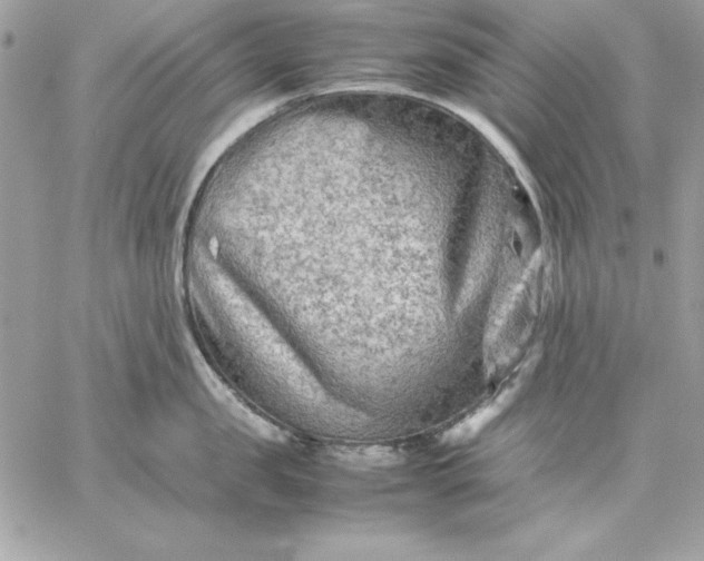 X0000059230957200510281902