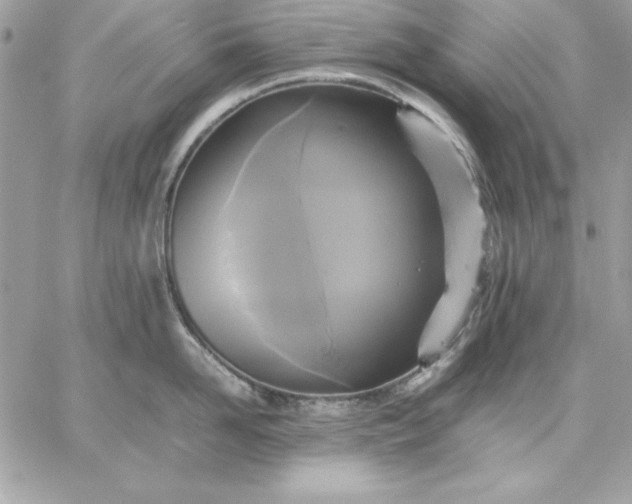 X0000059230958200510281902