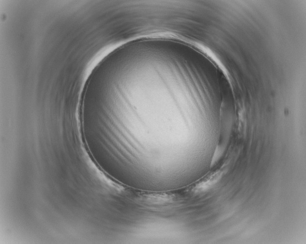 X0000059230959200510281902