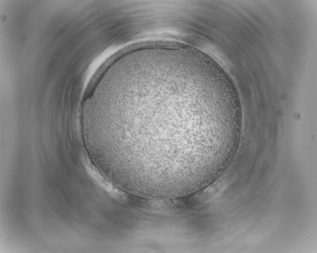 X0000059230960200510281902