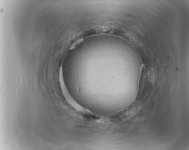 X0000059230961200510281901