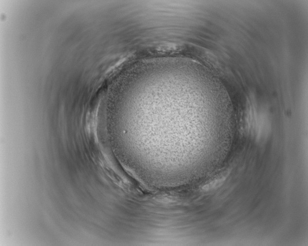 X0000059230962200510281901