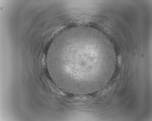 X0000059230963200510281901