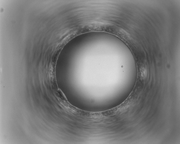 X0000059230964200510281901