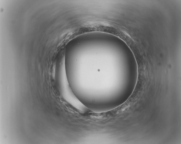 X0000059230965200510281901