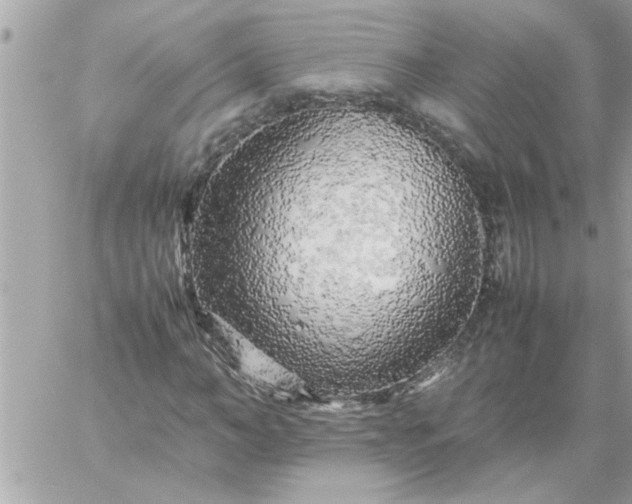 X0000059230966200510281901