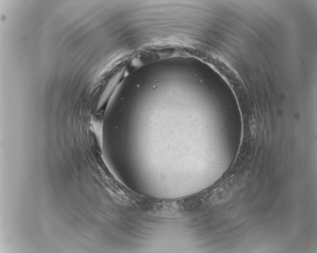 X0000059230968200510281901