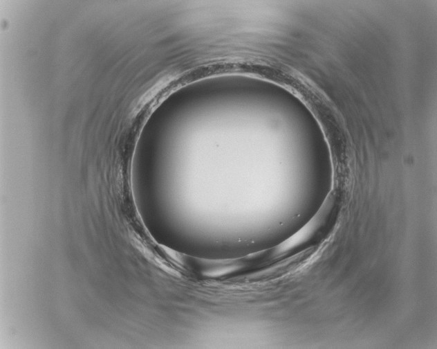 X0000059230969200510281901