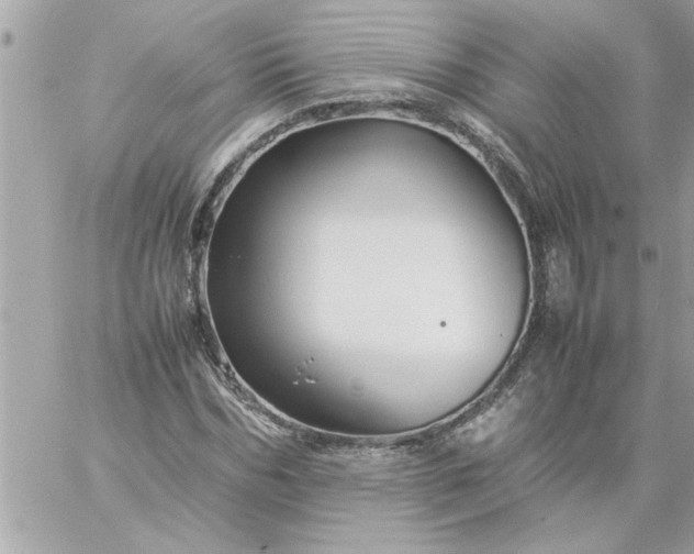 X0000059230970200510281901