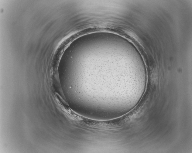 X0000059230971200510281901