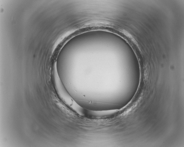 X0000059230973200510281901