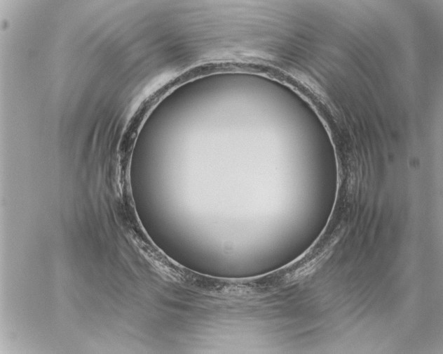 X0000059230974200510281901