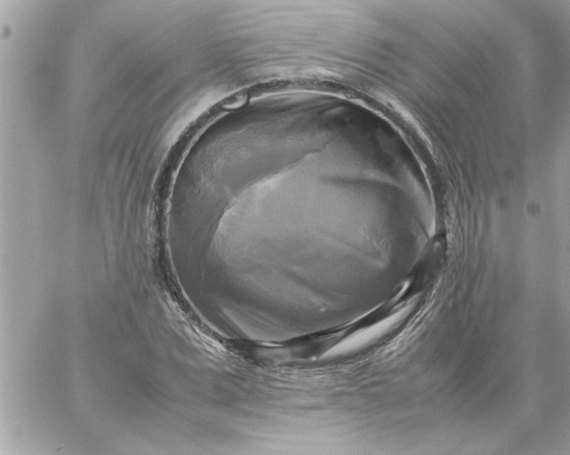 X0000059230975200510281901