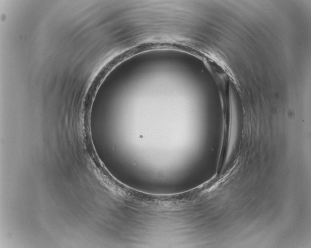 X0000059230976200510281901