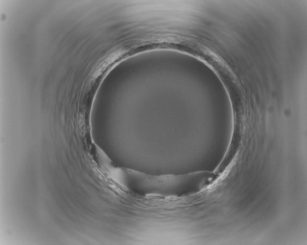 X0000059230977200510281901