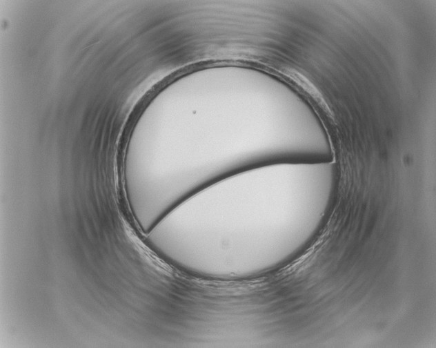 X0000059230980200510281901