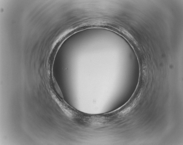 X0000059230981200510281901