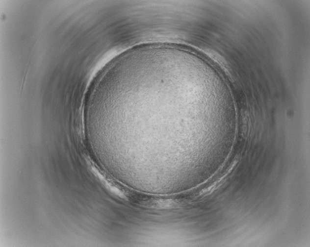 X0000059230982200510281901