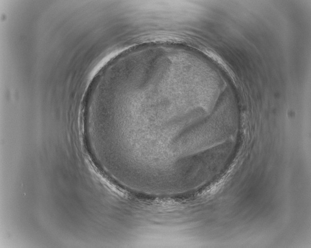 X0000059230983200510281901