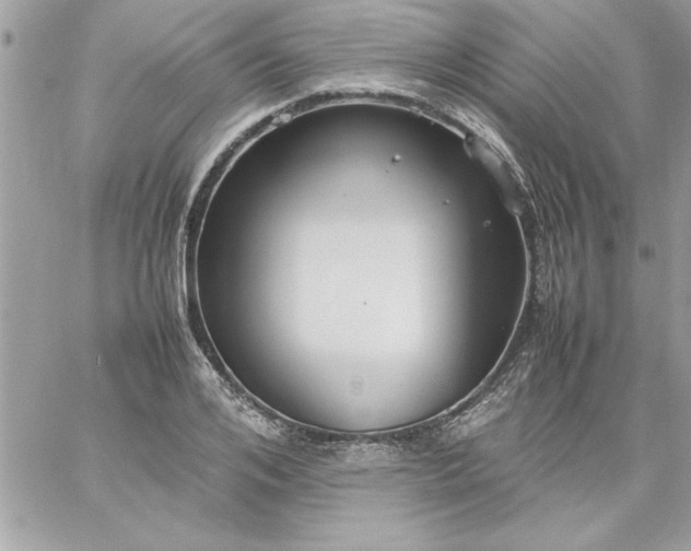 X0000059230984200510281901