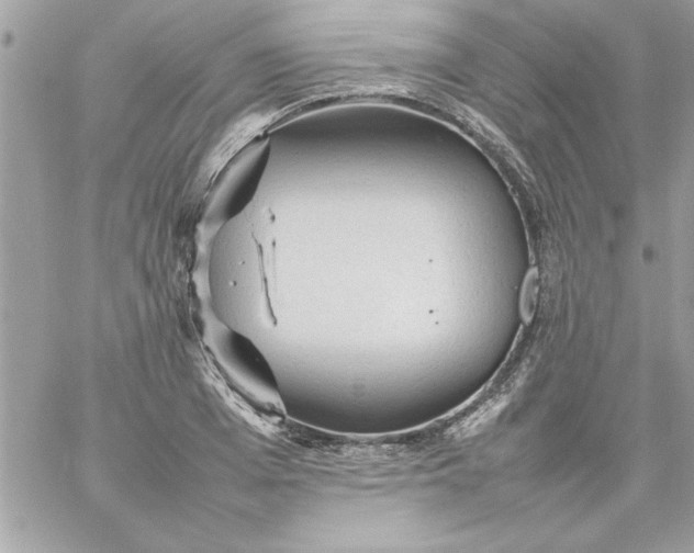 X0000059230985200510281901