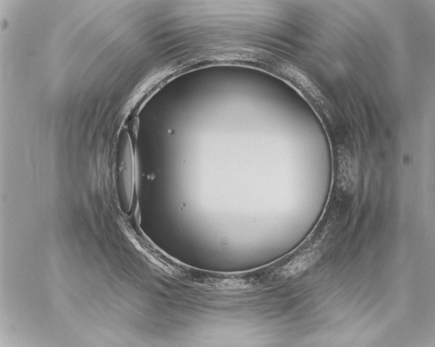 X0000059230986200510281901