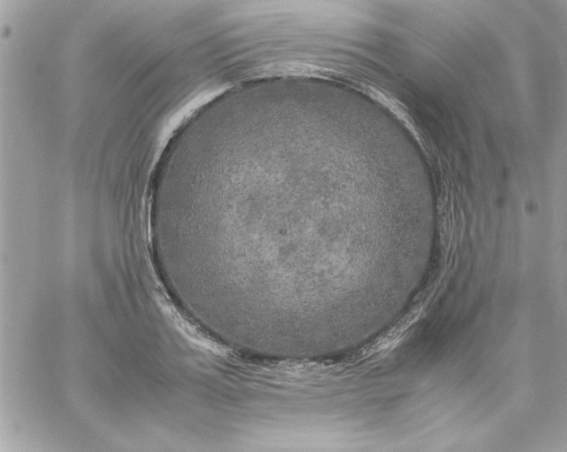 X0000059230987200510281901