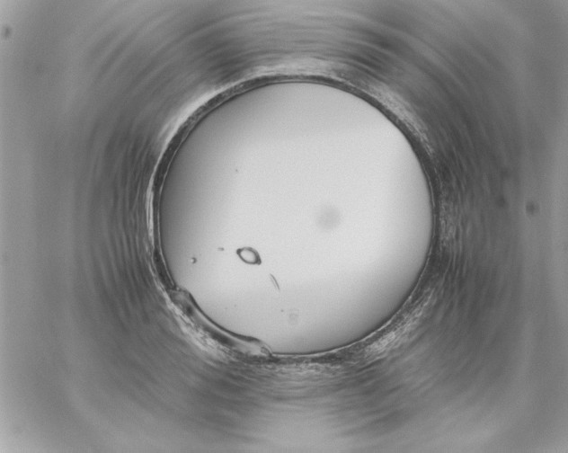 X0000059230988200510281901