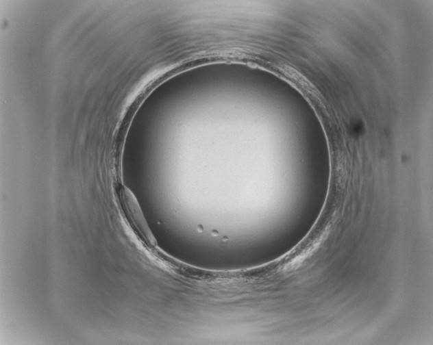 X0000059230989200510281901