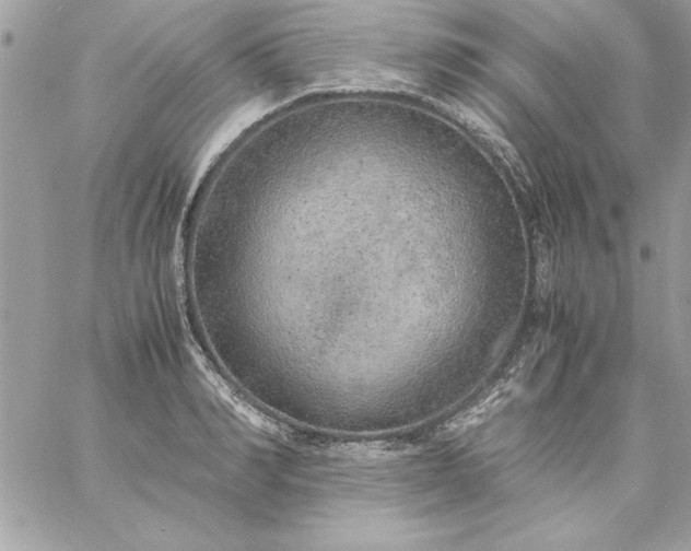 X0000059230990200510281901