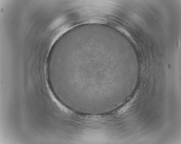 X0000059230991200510281901