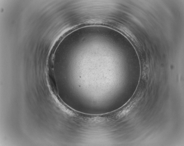 X0000059230992200510281901