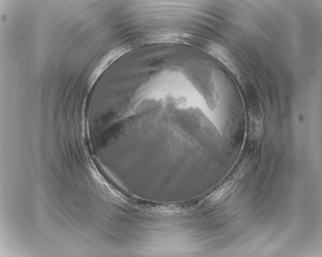 X0000059230994200510281901