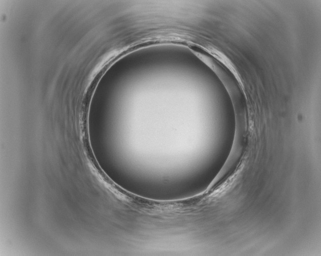 X0000059230997200510281901