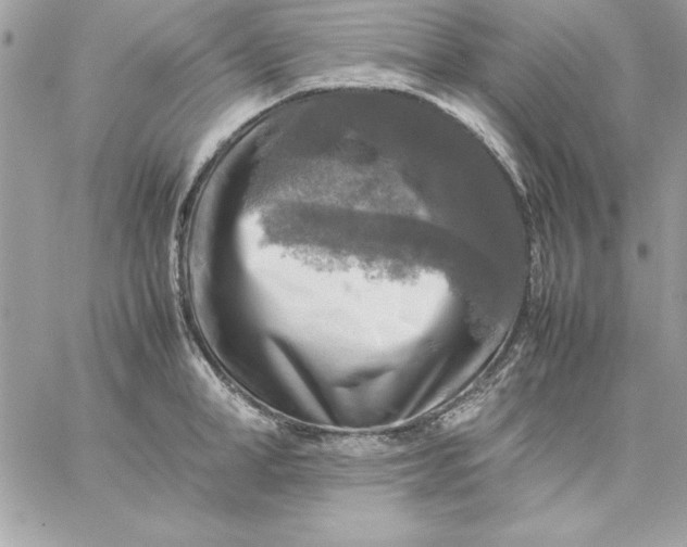 X0000059230998200510281901