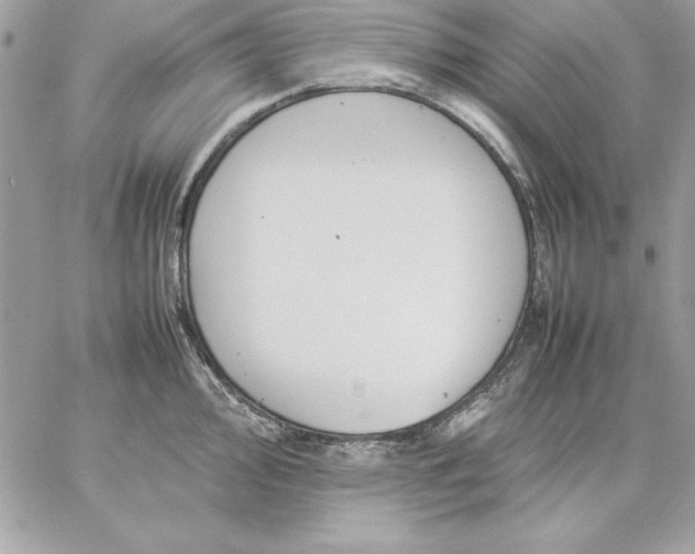 X0000059231000200510281900