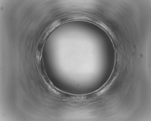 X0000059231001200510281900