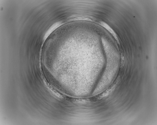 X0000059231002200510281900