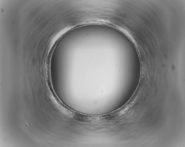 X0000059231003200510281900