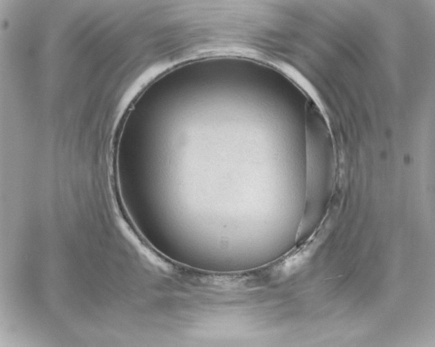 X0000059231005200510281900