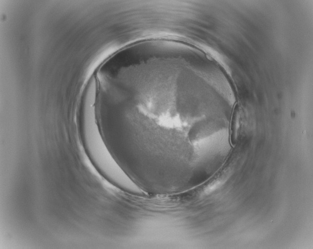 X0000059231007200510281900