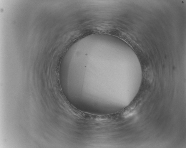 X0000059231009200510281900